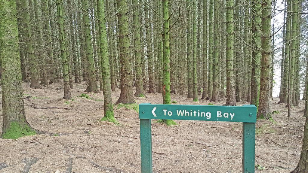 Whiting Bay Viewbank Guest House المظهر الخارجي الصورة
